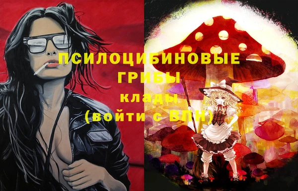 кокс Аркадак