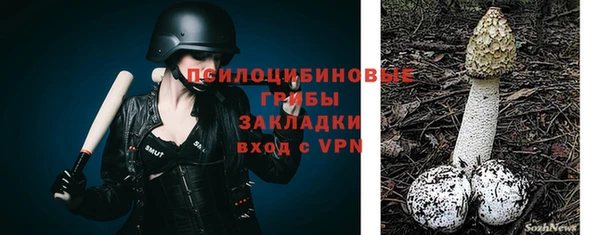 кокс Аркадак