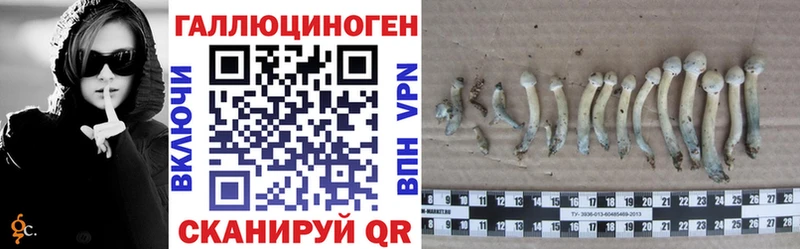 Псилоцибиновые грибы мухоморы  Купить  Новый Оскол 