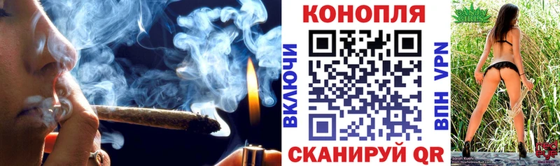 Купить закладки  Новый Оскол  Каннабис сатива 